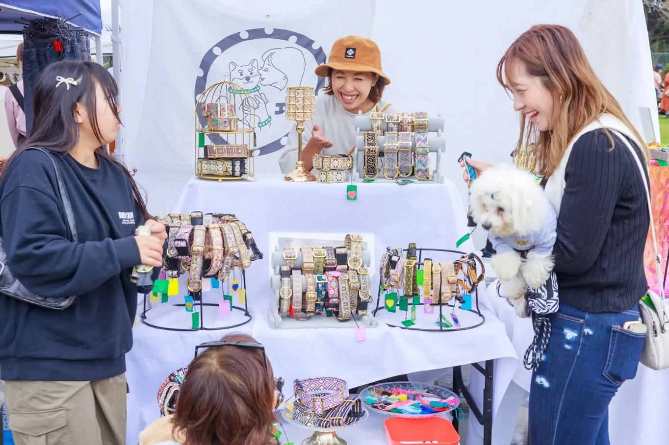 464313895_18088739065496949_4784689237127263049_n