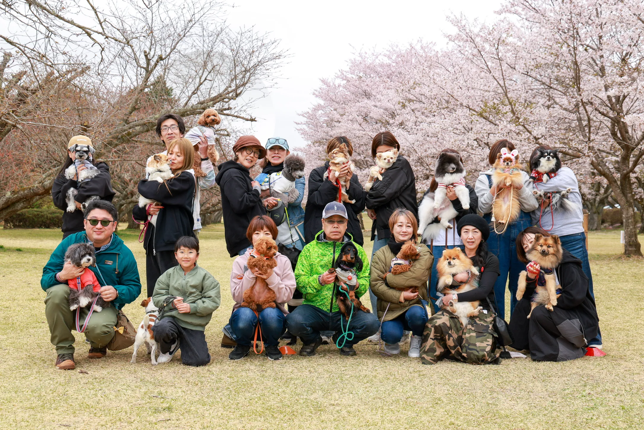 B5D82E08-B137-4A8B-86CC-71B078487219_1_102_o