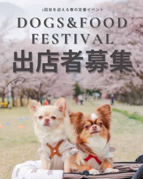 EDD3B9F6-7151-4A06-9B3C-81C643FFF97A_1_201_a 1